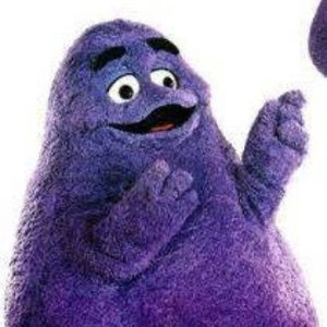 Meet your Posher, Brady